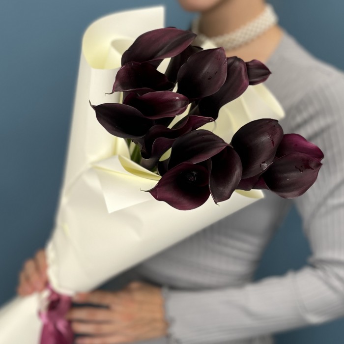 15 фиолетовых калл