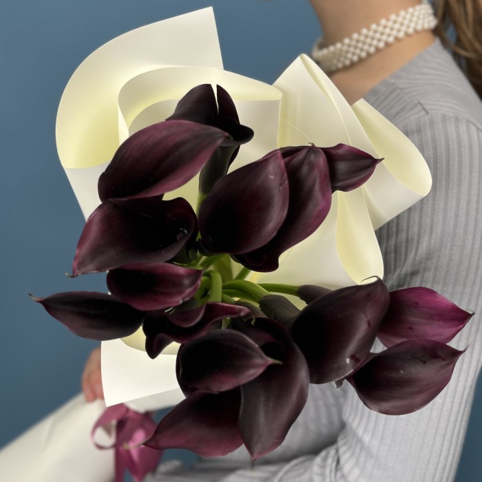 15 фиолетовых калл