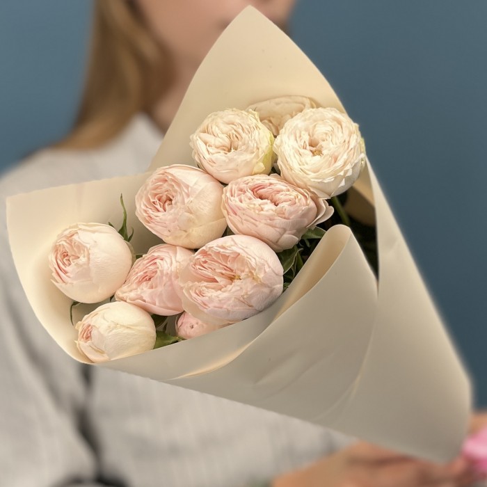 3 розовые пионовидные розы Мансфилд парк 40 см