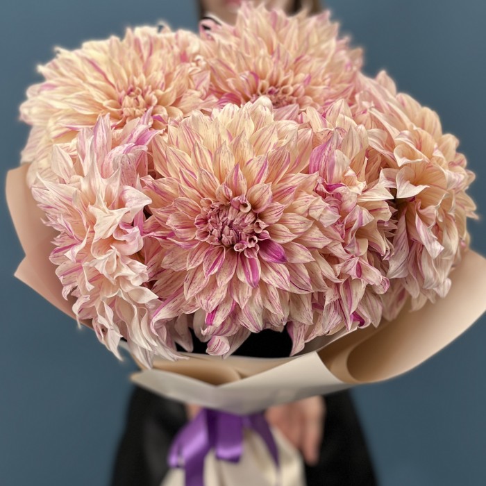 7 персиковых георгин Кафе О Ле Твист