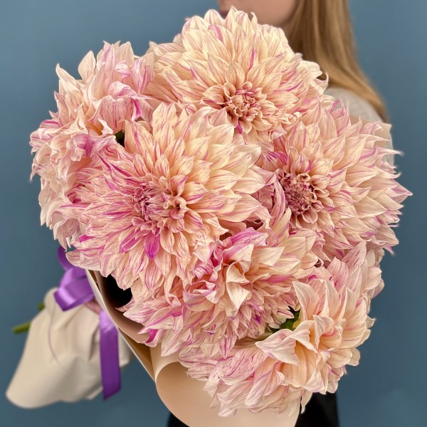 7 персиковых георгин Кафе О Ле Твист