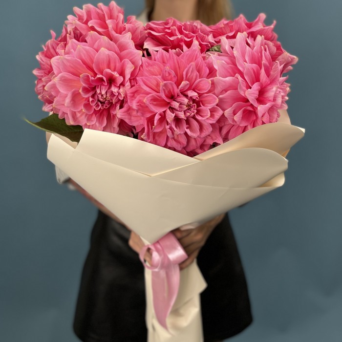 7 ярко-розовых георгин