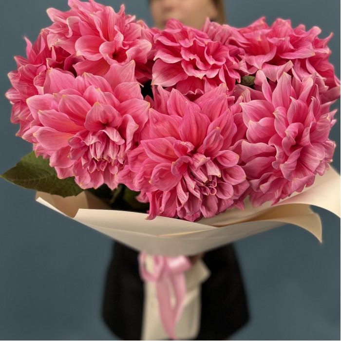 7 ярко-розовых георгин