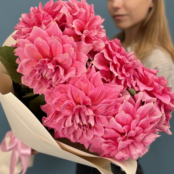 7 ярко-розовых георгин