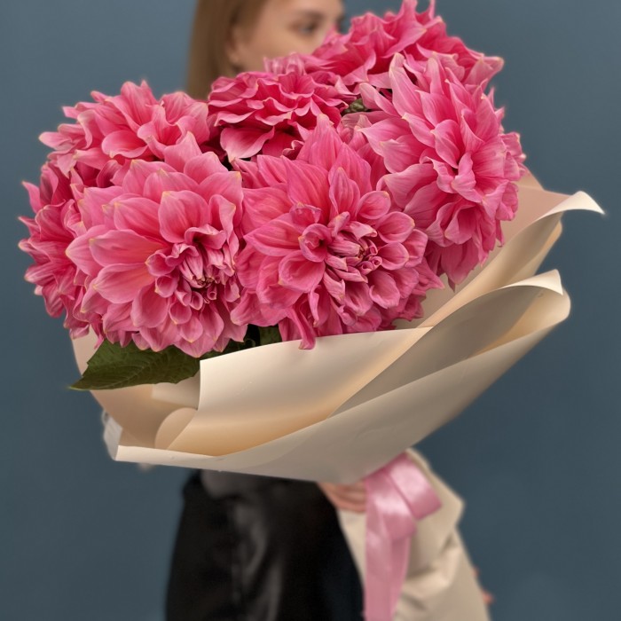 7 ярко-розовых георгин