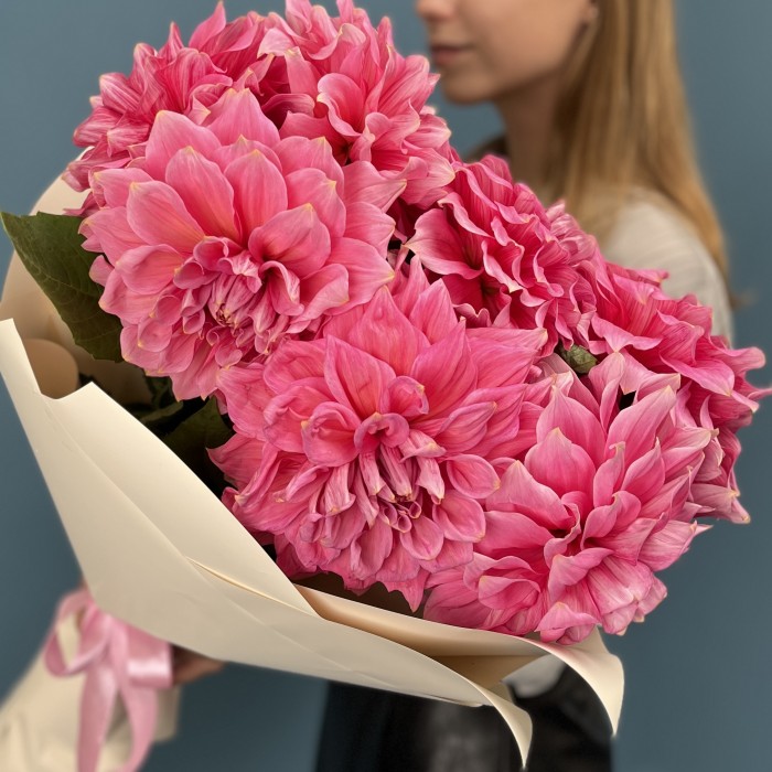 7 ярко-розовых георгин