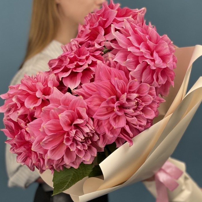 7 ярко-розовых георгин