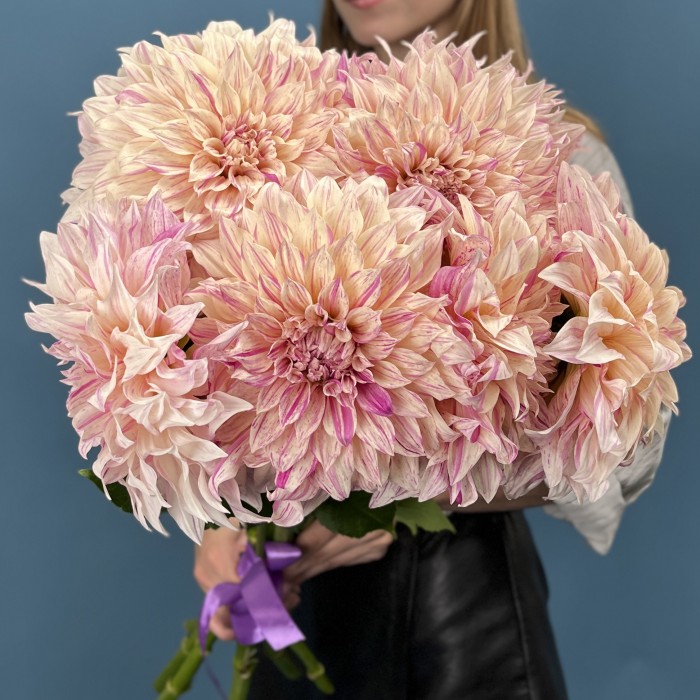 Георгин персиковый Кафе О Ле Твист