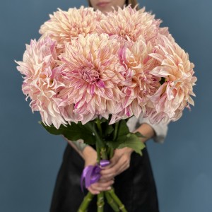 Георгин персиковый Кафе О Ле Твист