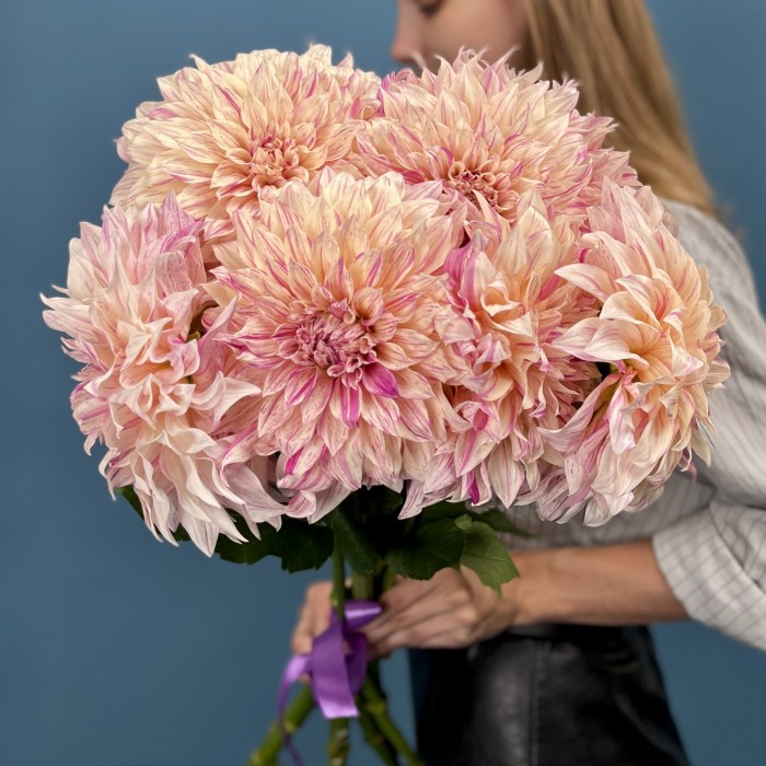 Георгин персиковый Кафе О Ле Твист