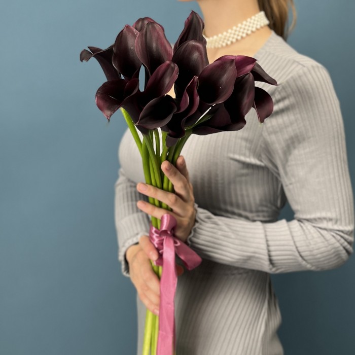 Калла фиолетовая