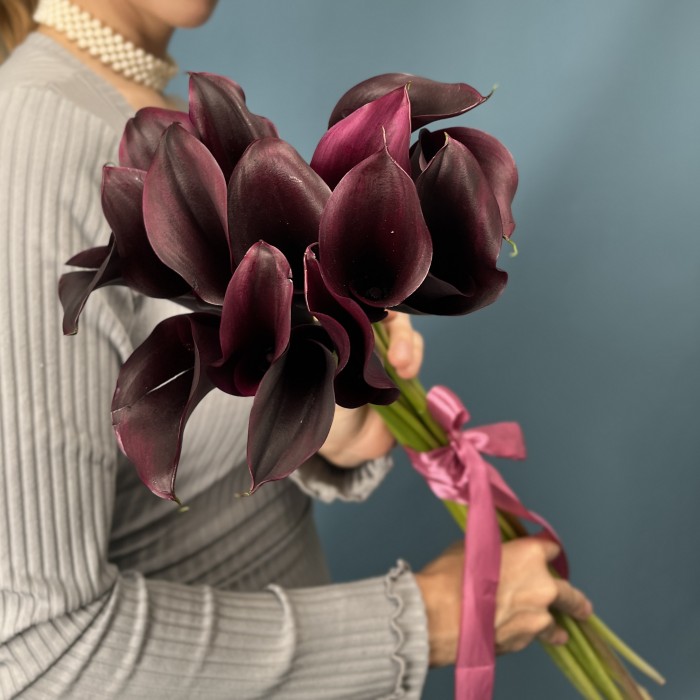 Калла фиолетовая