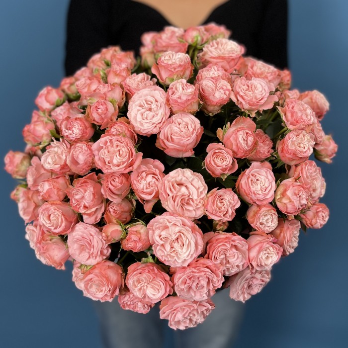 25 кустовых пионовидных роз Мадам Бомбастик в коробке