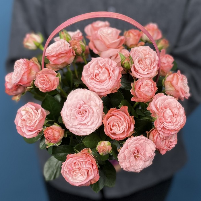 5 кустовых пионовидных роз Мадам Бомбастик в корзине