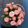 5 кустовых пионовидных роз Мадам Бомбастик в корзине