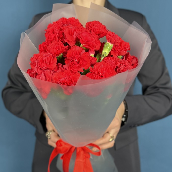 15 красных кустовых гвоздик