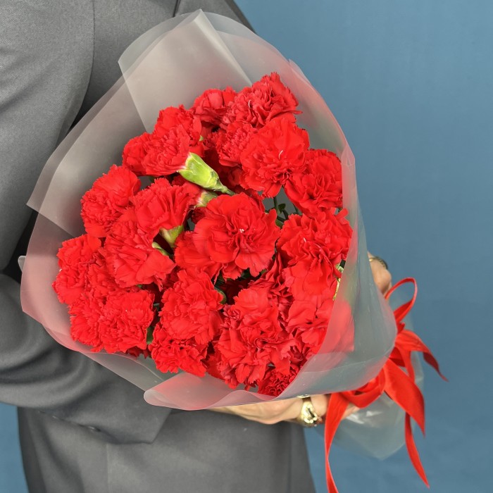 15 красных кустовых гвоздик