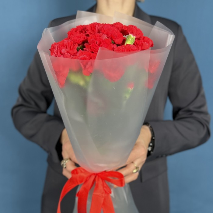 15 красных кустовых гвоздик