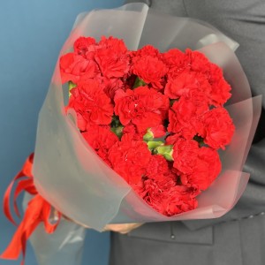 15 красных кустовых гвоздик