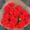 15 красных кустовых гвоздик