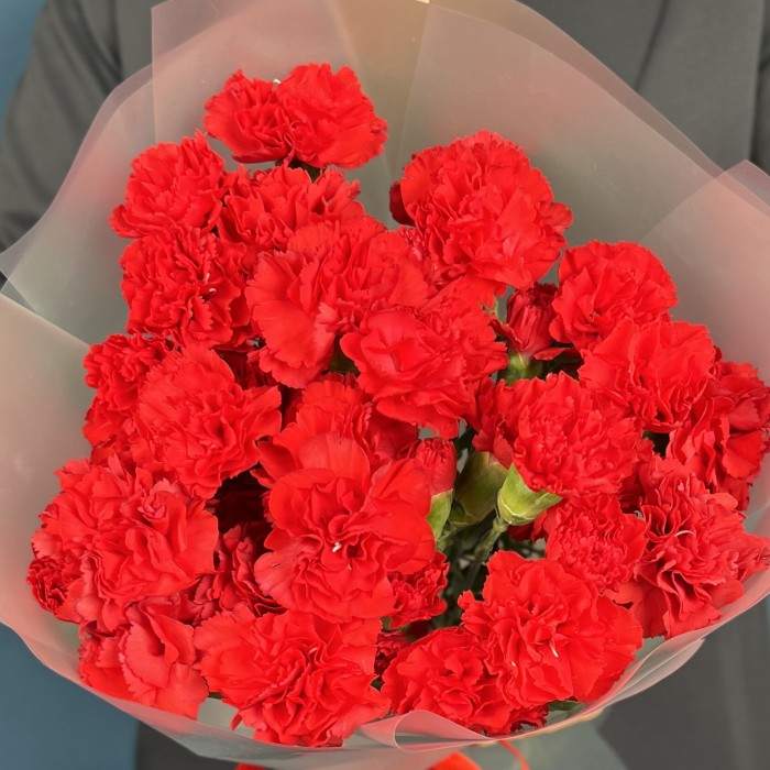 15 красных кустовых гвоздик
