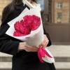 15 малиновых роз Палома Роял 40 см