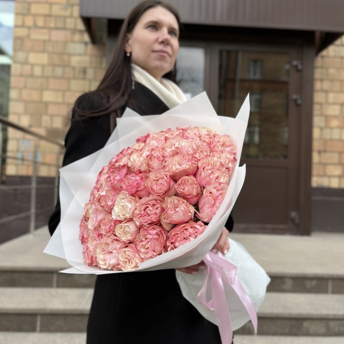 51 малиново-белая роза Кантри Кэнди