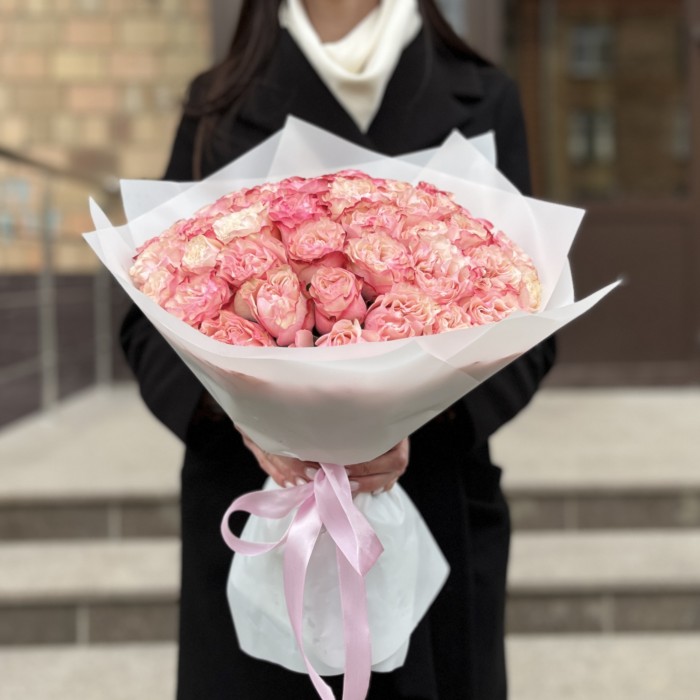 51 малиново-белая роза Кантри Кэнди