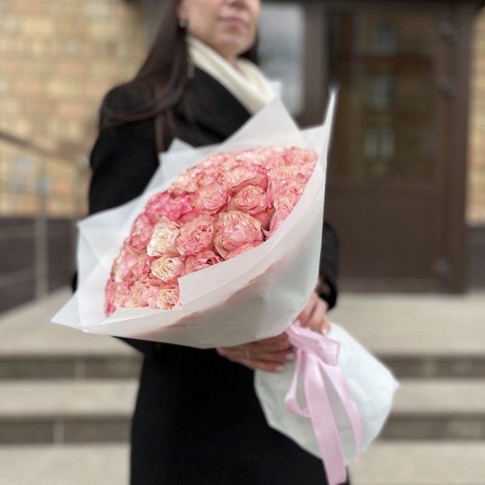 51 малиново-белая роза Кантри Кэнди