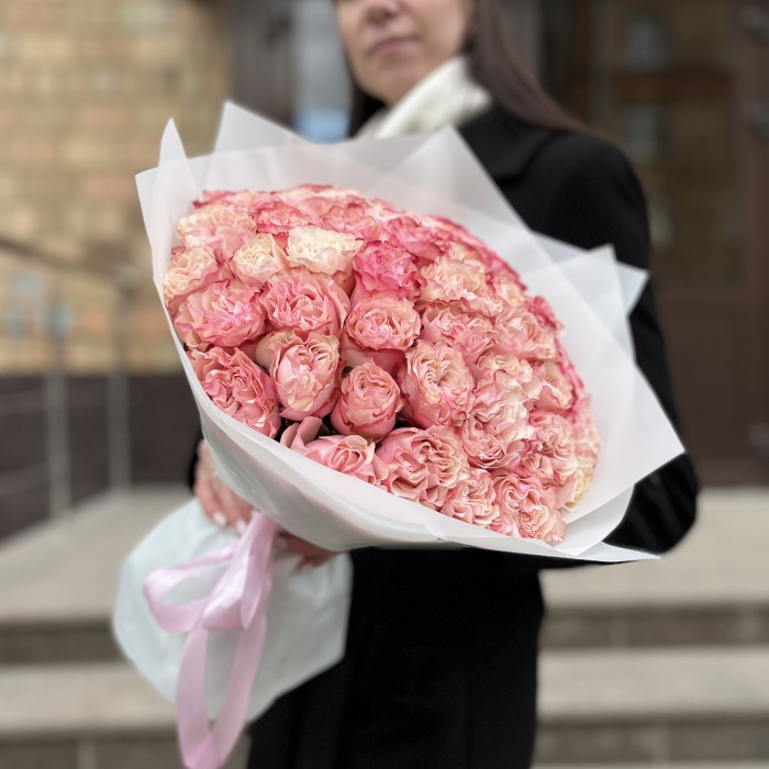 51 малиново-белая роза Кантри Кэнди