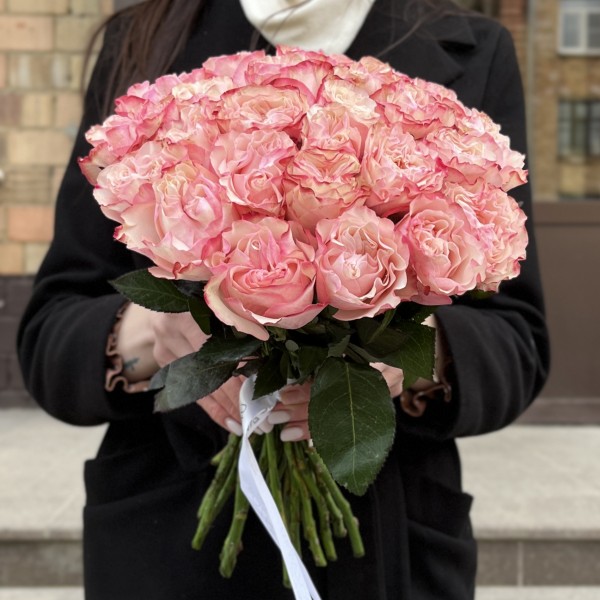 Роза Кантри Кэнди 40 см