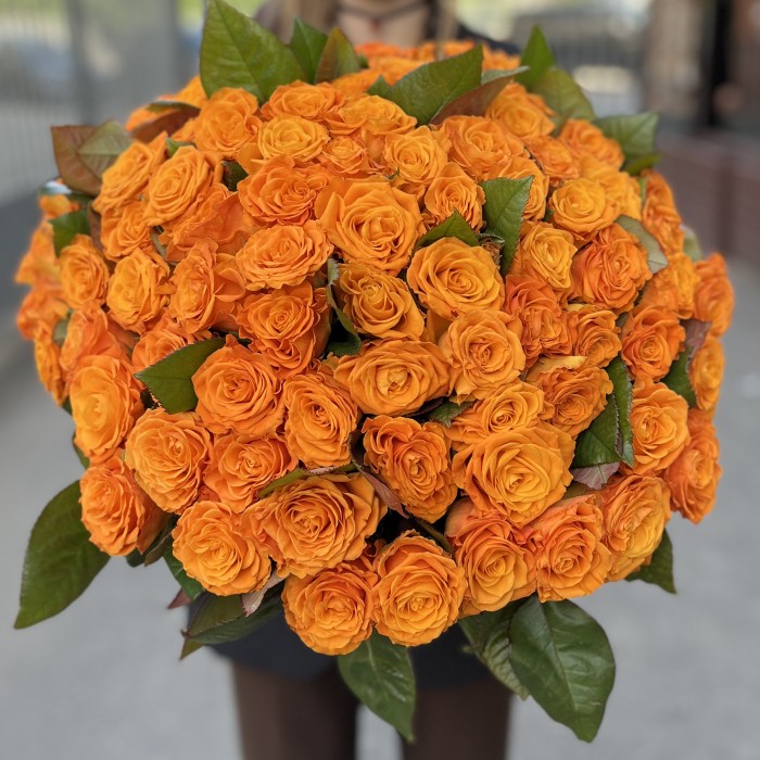 101 оранжевая Роза Элеганс 60 см