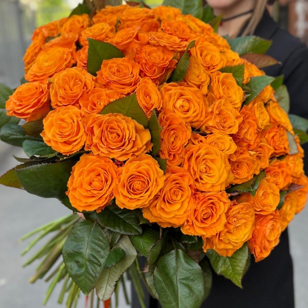 101 оранжевая Роза Элеганс 60 см