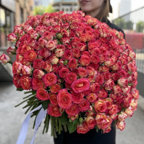 101 яркая кустовая роза Саммер Дэнс