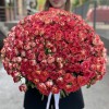 101 яркая кустовая роза Саммер Дэнс