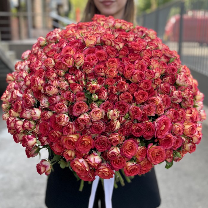 101 яркая кустовая роза Саммер Дэнс