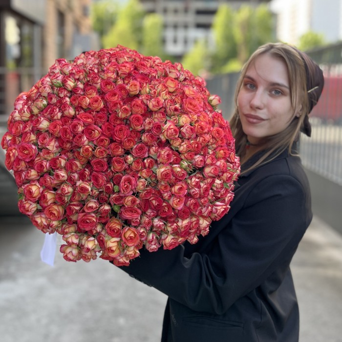 101 яркая кустовая роза Саммер Дэнс