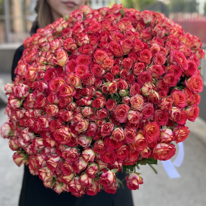 101 яркая кустовая роза Саммер Дэнс