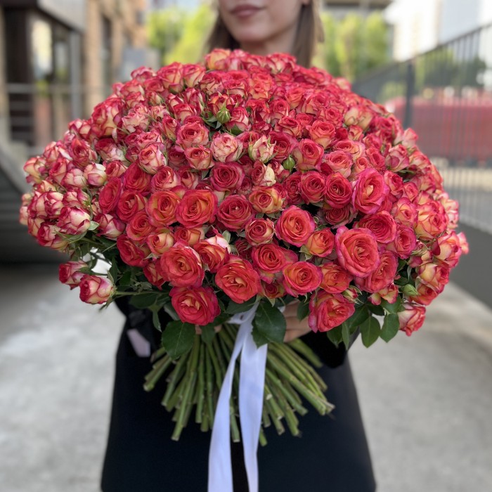 101 яркая кустовая роза Саммер Дэнс