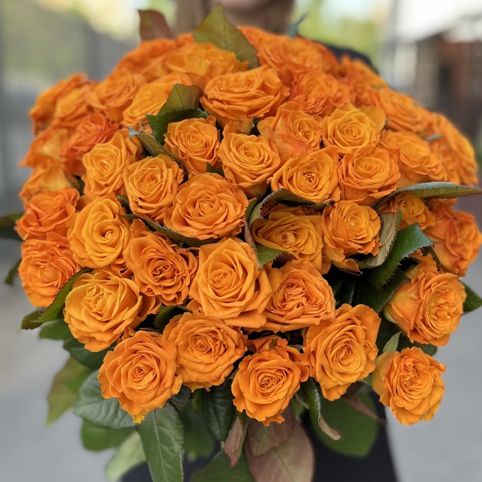 51 оранжевая Роза Элеганс 60 см