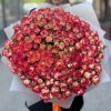 51 яркая кустовая роза Саммер Дэнс