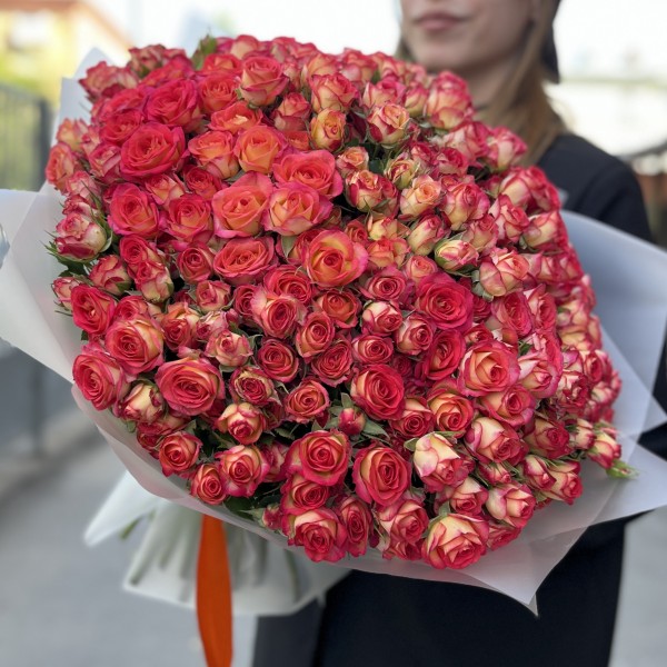 51 яркая кустовая роза Саммер Дэнс