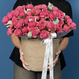 25 кустовых пионовидных малиновых роз Гранд Трендсеттер в кашпо