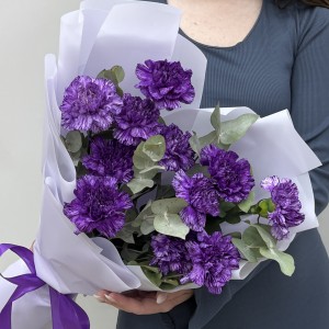 11 фиолетовых гвоздик Муншайн