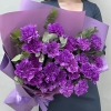 25 фиолетовых гвоздик Муншайн