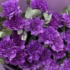 25 фиолетовых гвоздик Муншайн