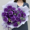 25 фиолетовых гвоздик Мунстрайк