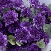 25 фиолетовых гвоздик Мунстрайк