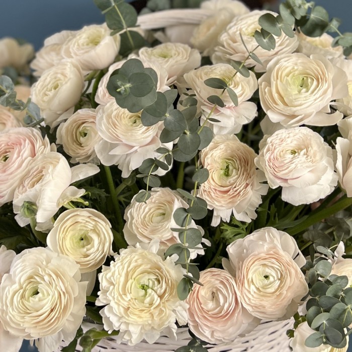 101 ранункулюс Ханой в корзине с эвкалиптом