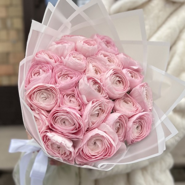 25 розовых ранункулюсов